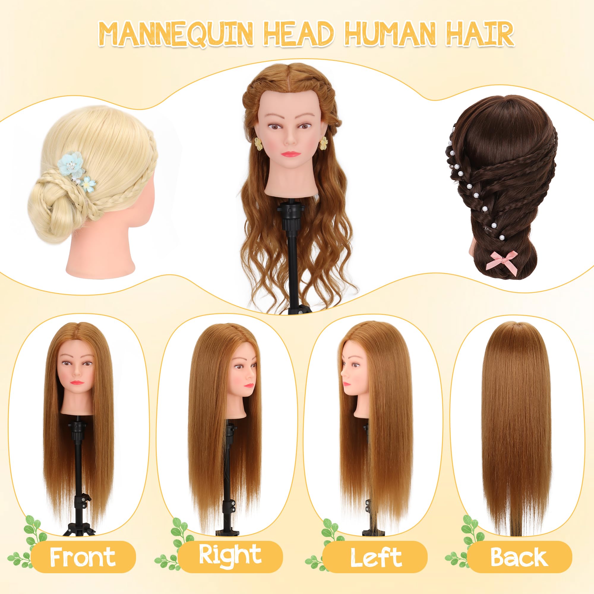 Demides mannequin head hair-wash condition feature highlights easy cleansing and sanitation