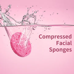 Derloyo expanded sponges after soak ready to use