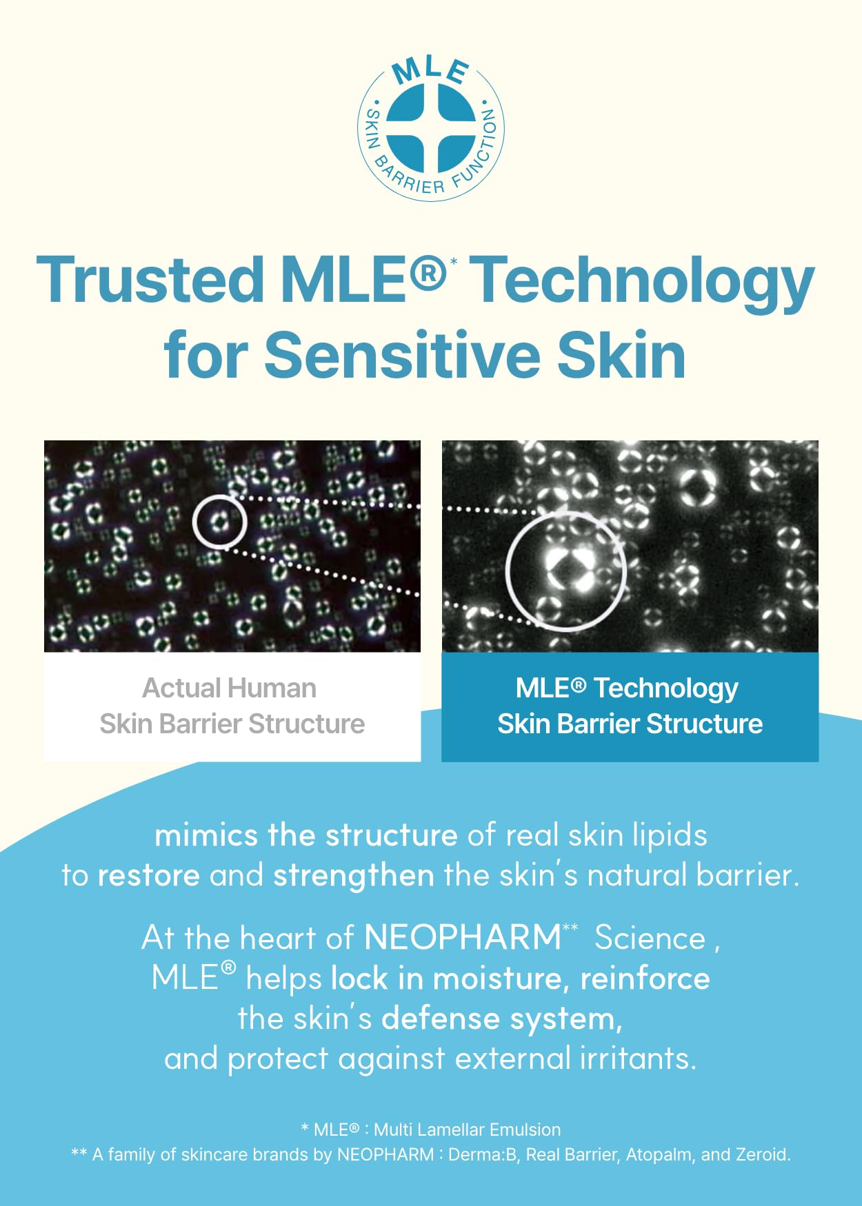 Derma B Daily Moisture Camellia oil and Vitamin C elasticity note highlights elasticity support.