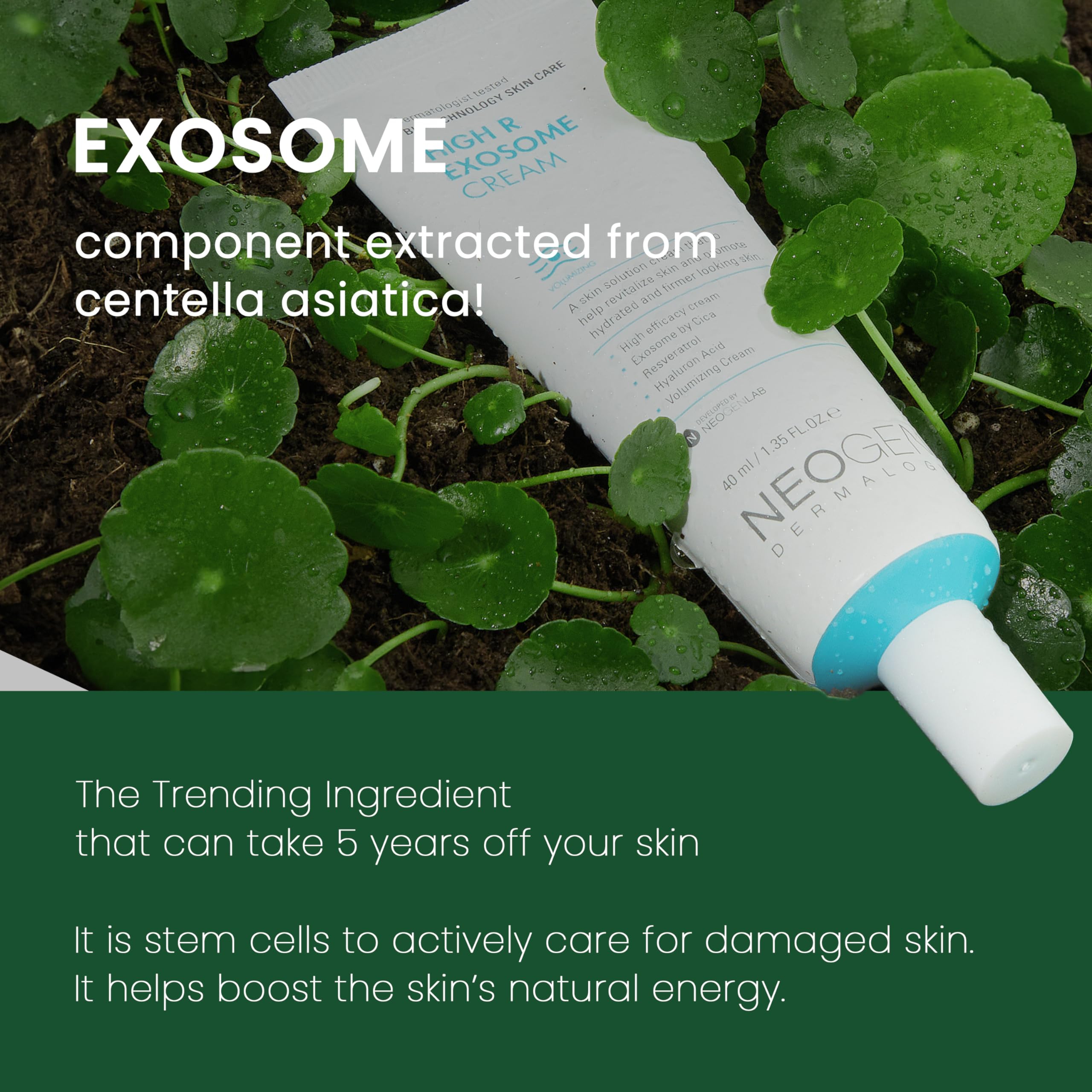 Resveratrol-rich elixir emphasizes polyphenols that support skin vitality.