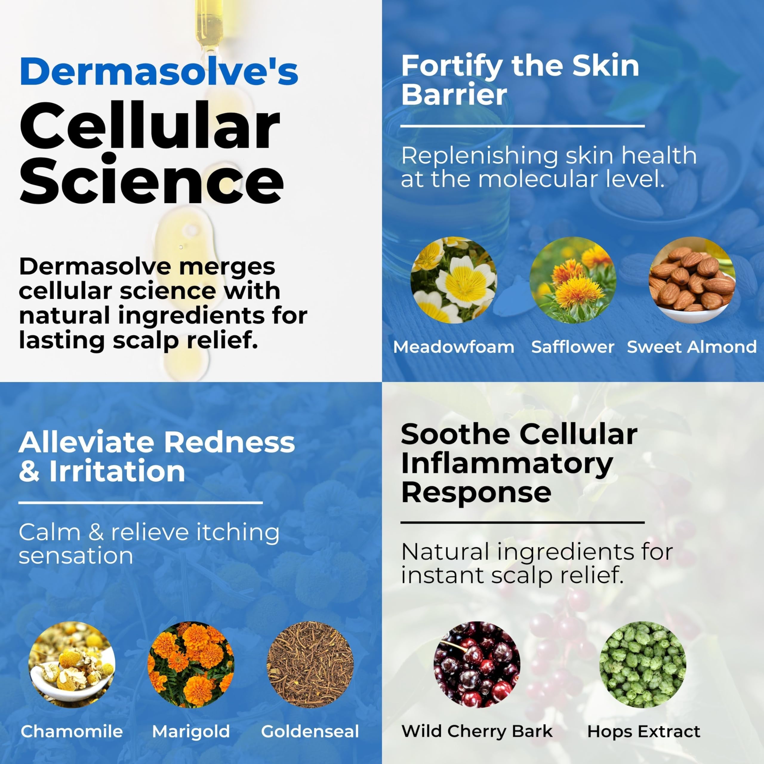 Dermasolve safflower oil ingredients close-up emphasizes conditioning properties for hair