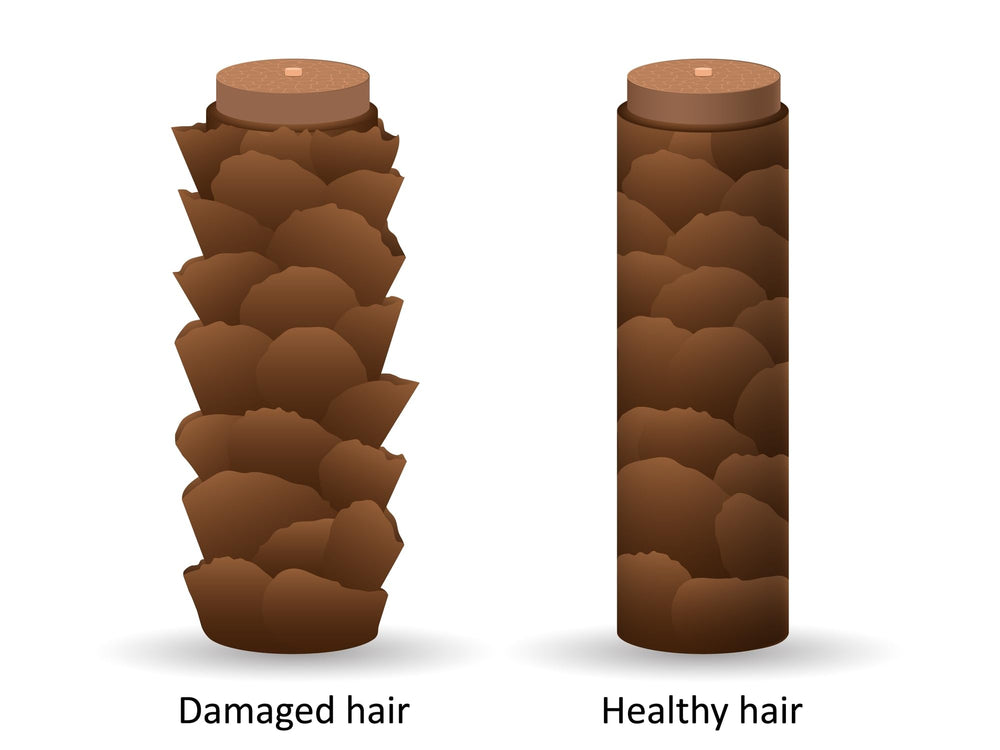 DermOrganic leave-in coat delivers natural shine and silky finish