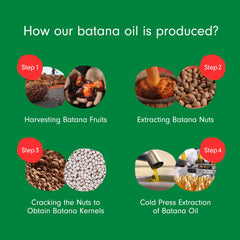 Dersie Batana Oil bottle highlights natural color variation and origin.