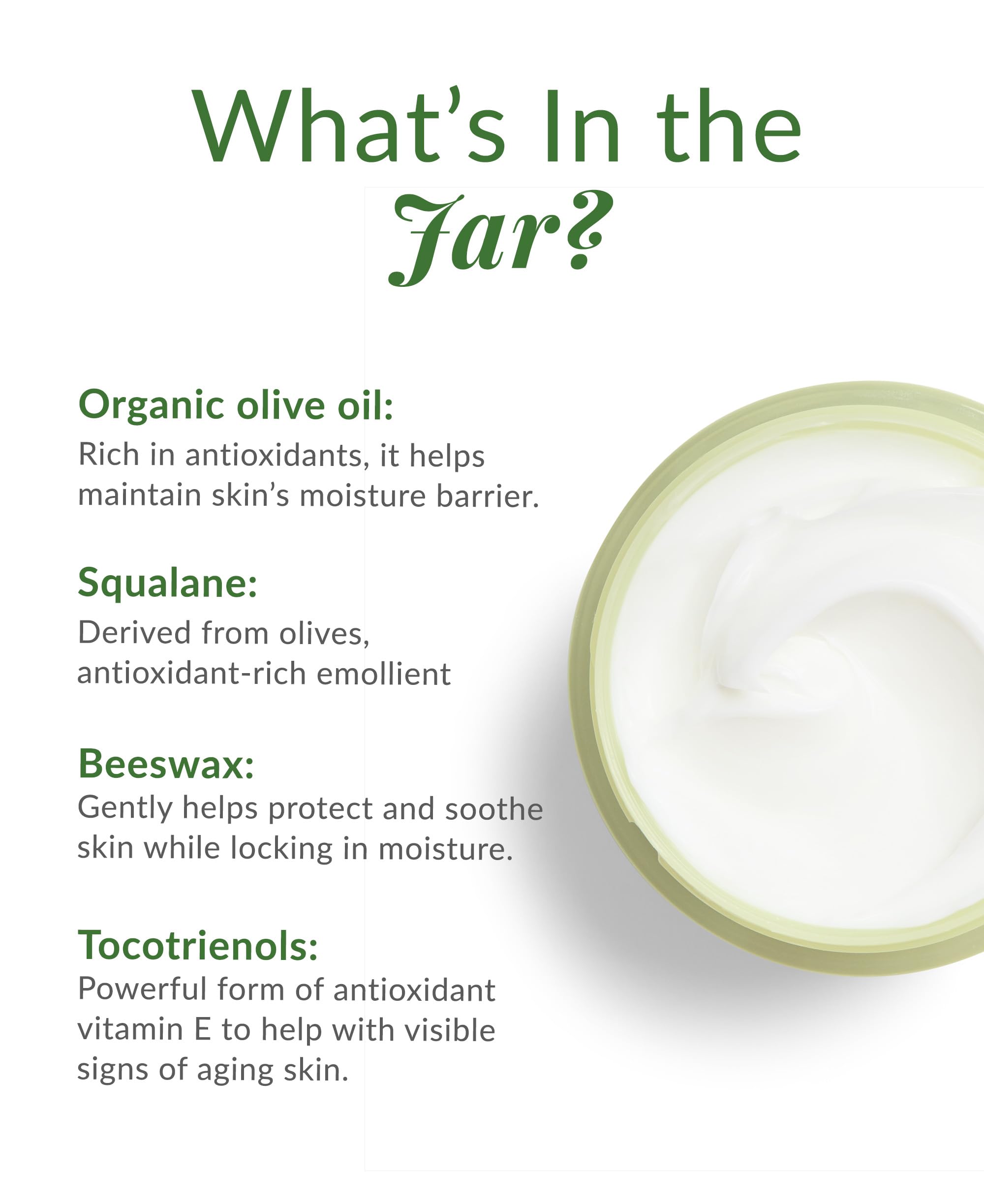 DHC Olive Virgin Oil Essential Cream ingredients highlight olive oil squalane rice bran for antioxidant protection.