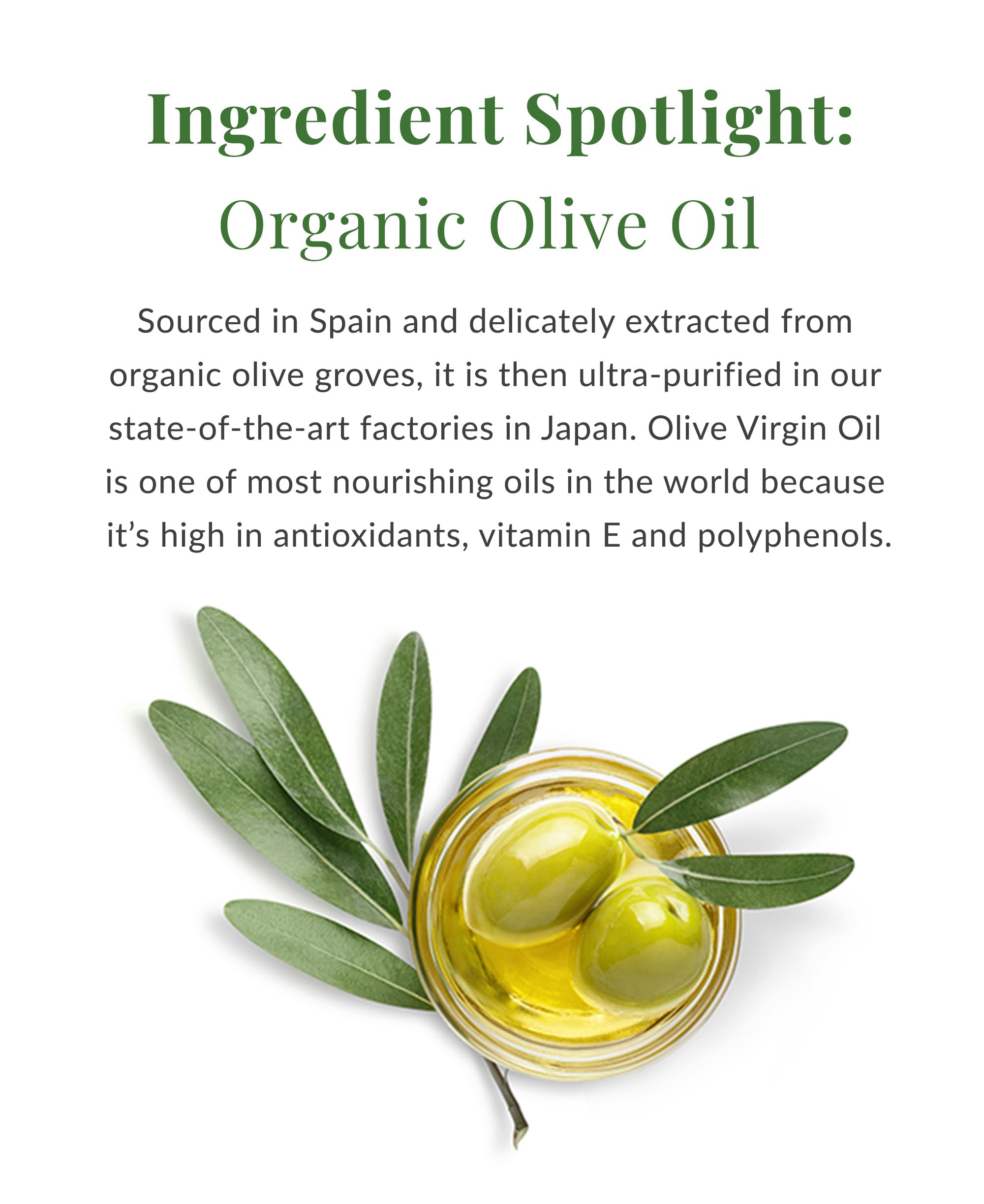 DHC Olive Virgin Oil Essential Cream jar on vanity signals premium hydration every day.