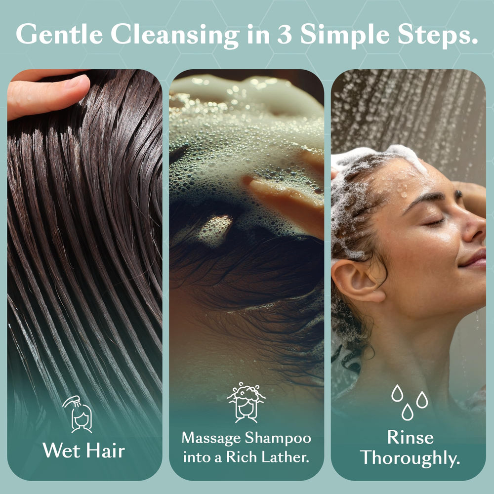 DHS Clear Shampoo application steps illustration shows easy, repeatable cleansing routine.