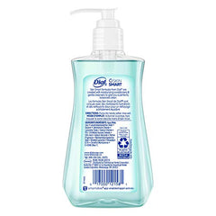 Dial Coconut Water Mango pack of 12 highlights family-friendly hand care