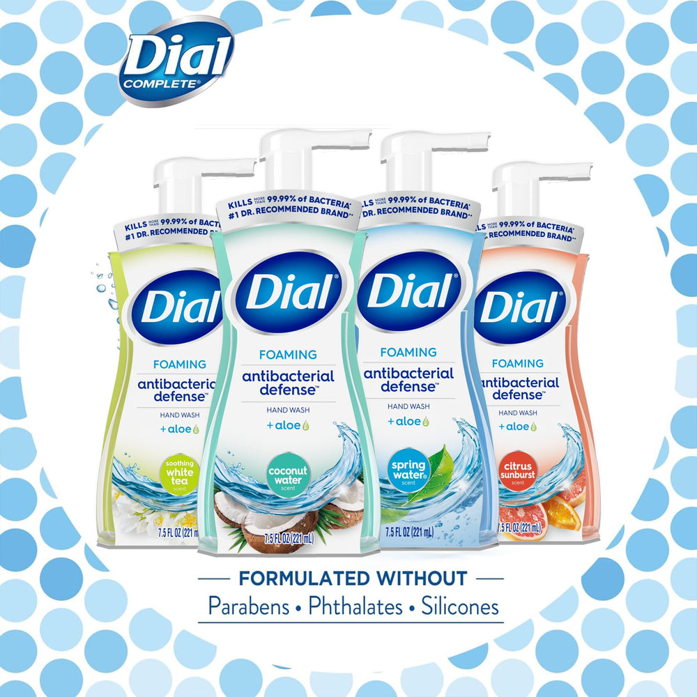 Dial Complete foaming hand wash hands under running water with visible foam.