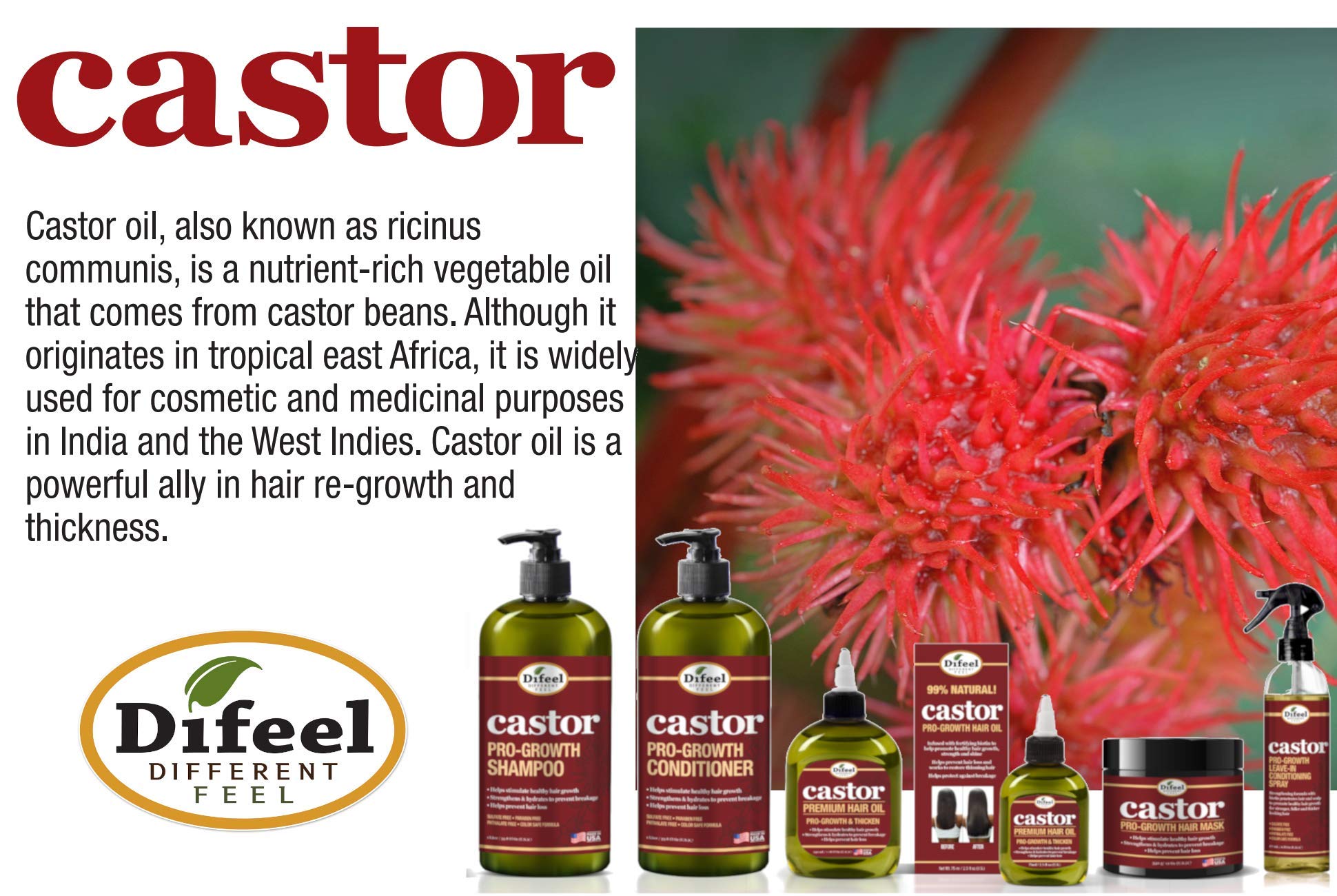 Rutina diaria con Difeel Castor Pro-Growth para cabello más lleno