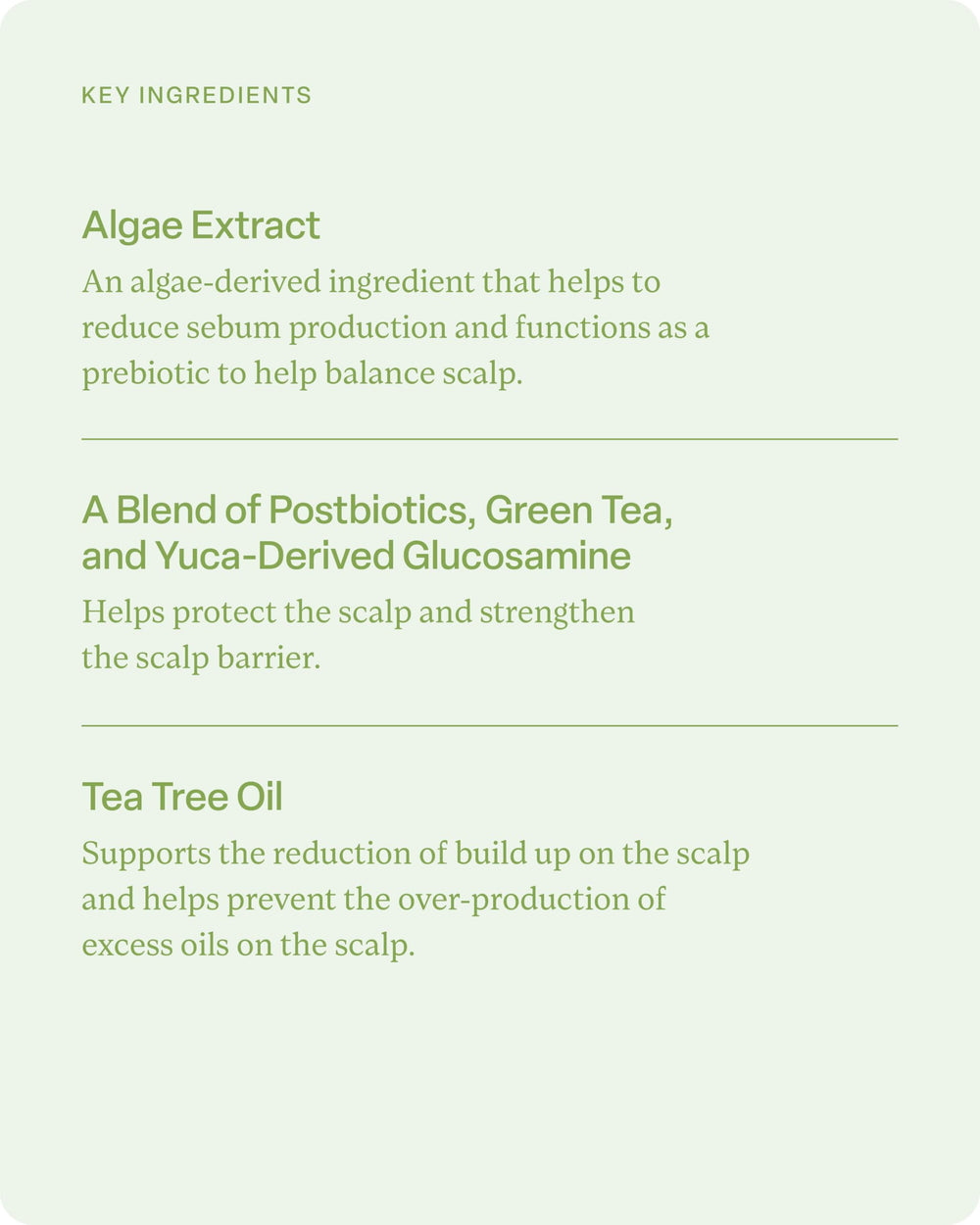 Divi Hydrating Shampoo bottle highlights jojoba oil for softness and shine.