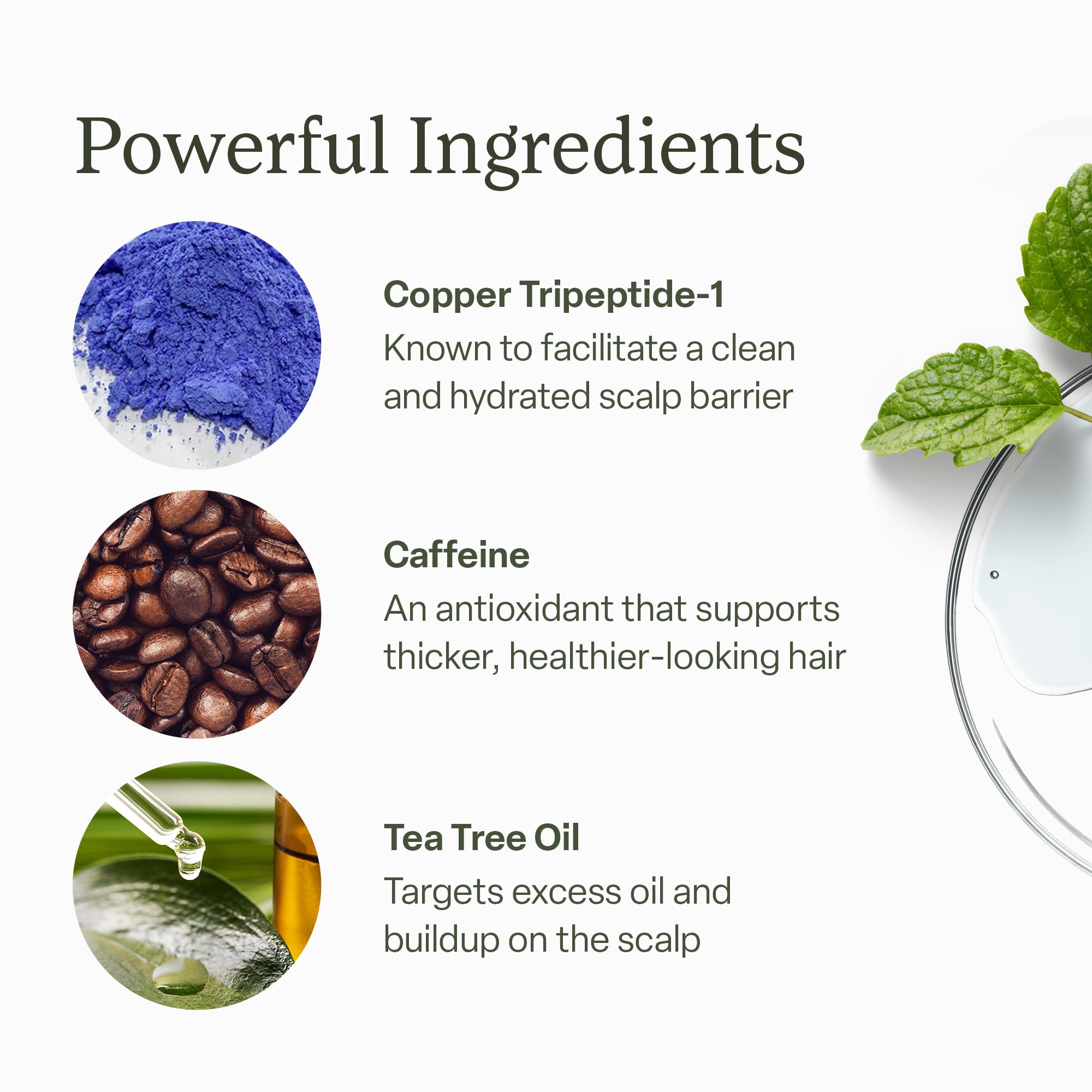 Divi Scalp Serum daily-use application on wet or dry hair