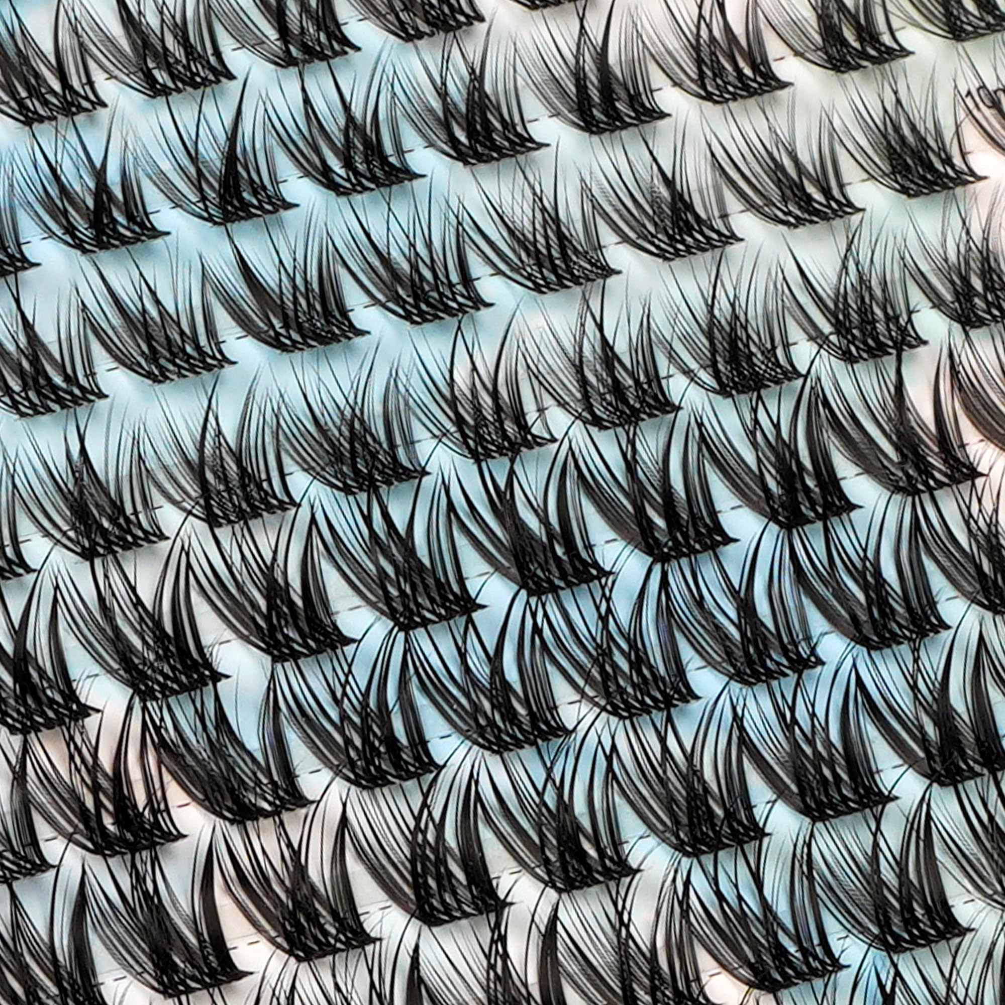 DIWINSH D-Curl lash bundle 10-12mm demonstrates lift and definition.