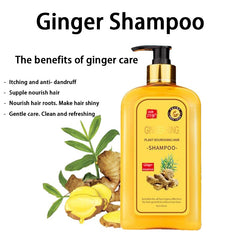 Dosoecse Ginaday close-up of ginger ingredients emphasizing scalp nourishment.