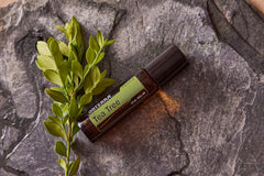 doTERRA Melaleuca Touch packaging highlights travel-friendly 10 mL roll-on.