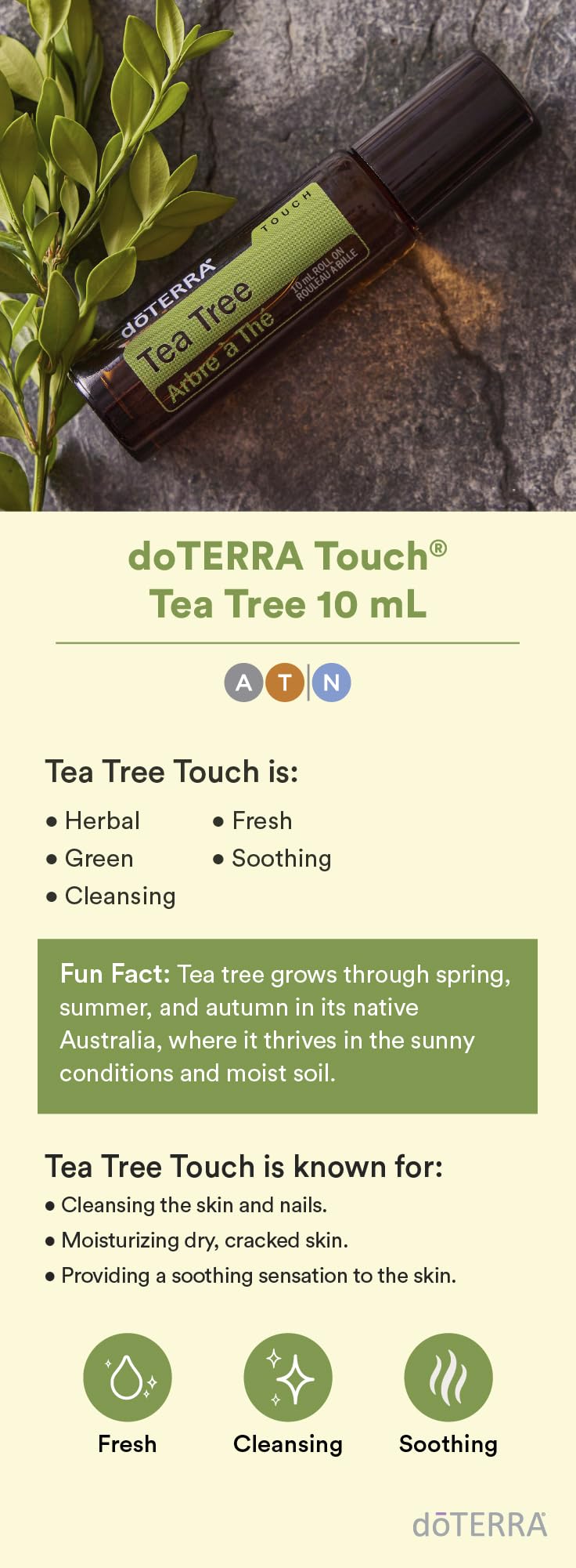 doTERRA Melaleuca Touch tea tree ingredients emphasize cleansing properties.