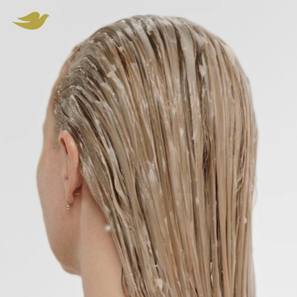 Dove Bond Strength bottle closeup emphasizes nourishing care for healthier-looking hair.