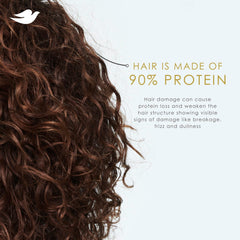 Dove DermaCare set packaging image emphasizes value of a two-piece anti-dandruff routine.