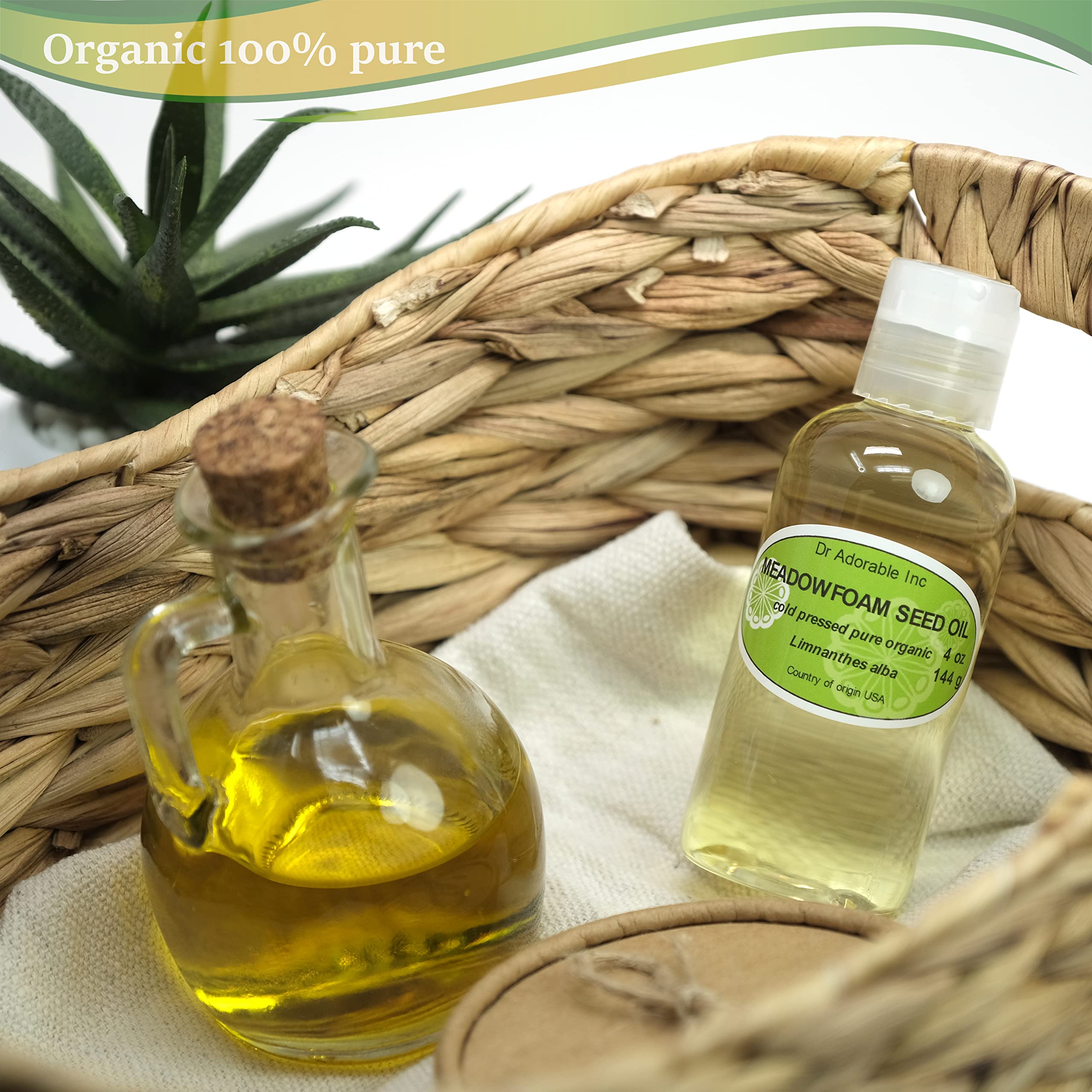 Dr Adorable Meadowfoam Oil close-up reveals silky texture and quick absorption for skincare.