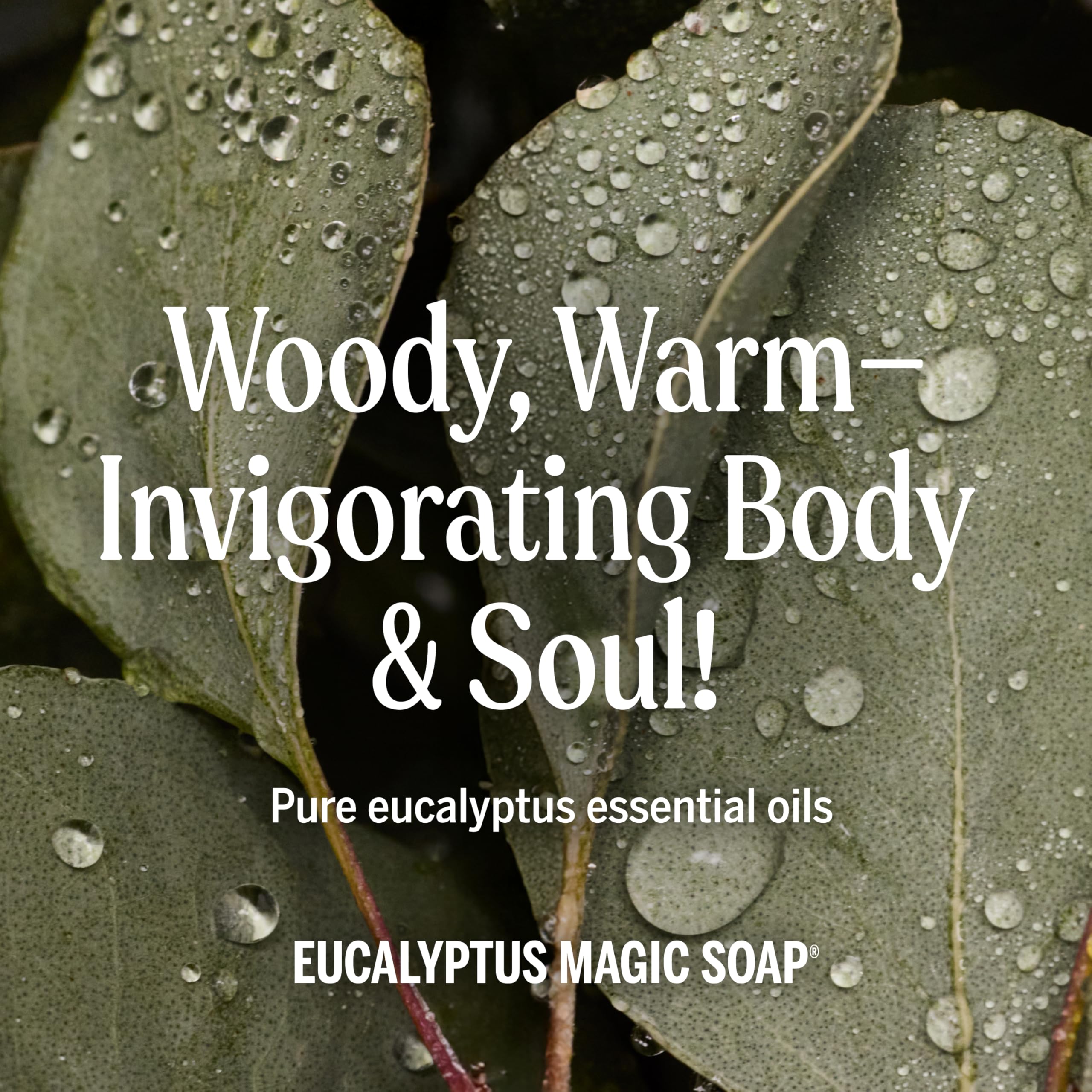 Dr. Bronner's Magic Soap pet-safe cleaning on surfaces and fur