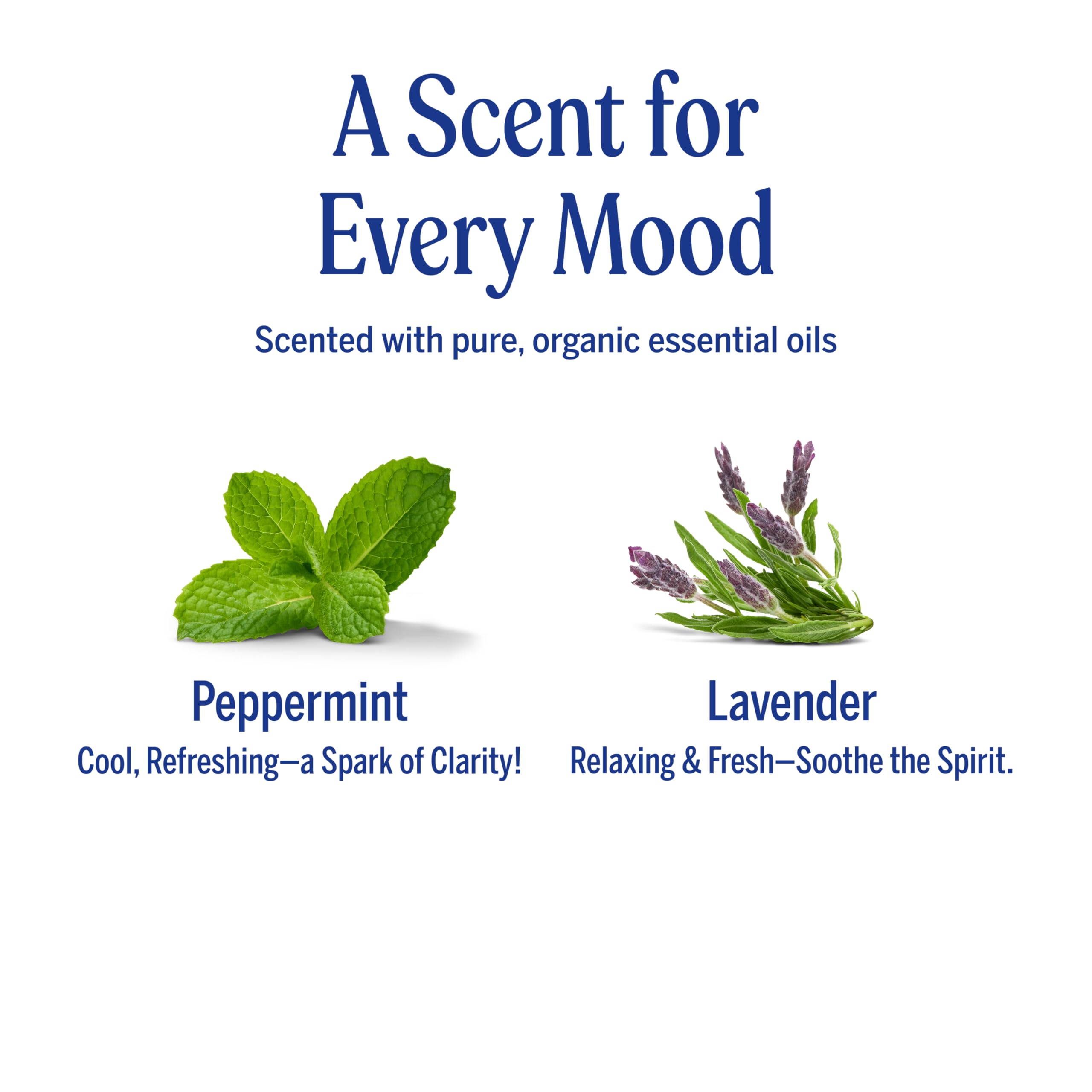 Dr. Bronner's Organic Hair Crème anti-frizz shine for a light, controlled finish.