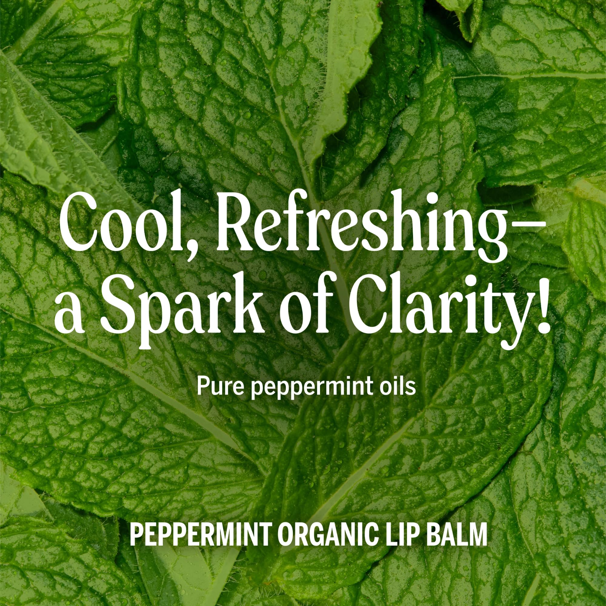Dr. Bronner's Organic Lip Balm ingredients list shows organic beeswax and oils