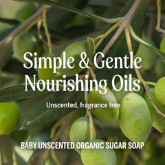 Dr. Bronner's Palm Kernel Oil in fair trade supports communities while delivering rich lather.