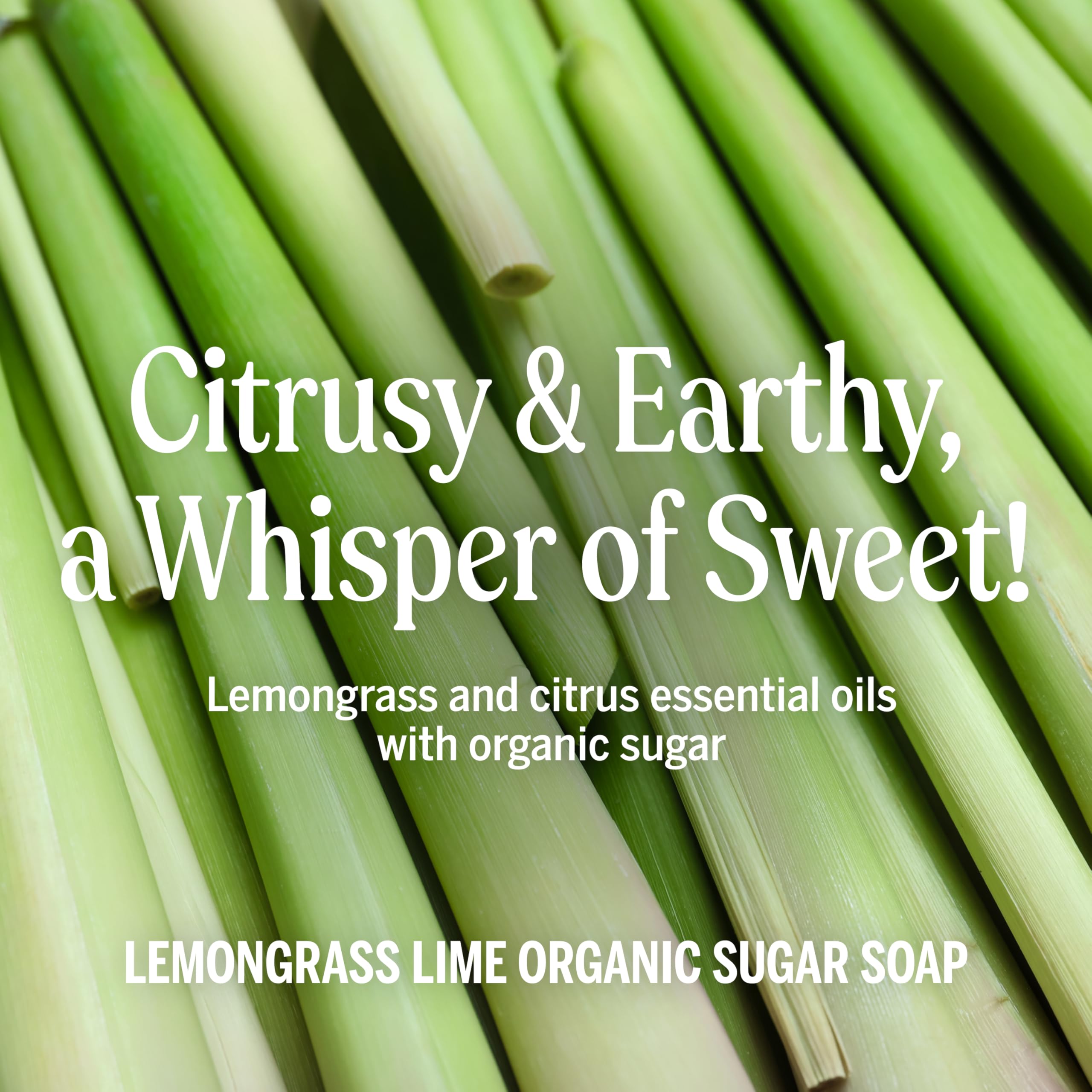 Dr. Bronner's Palm Kernel Oil label—sustainably sourced ingredients.