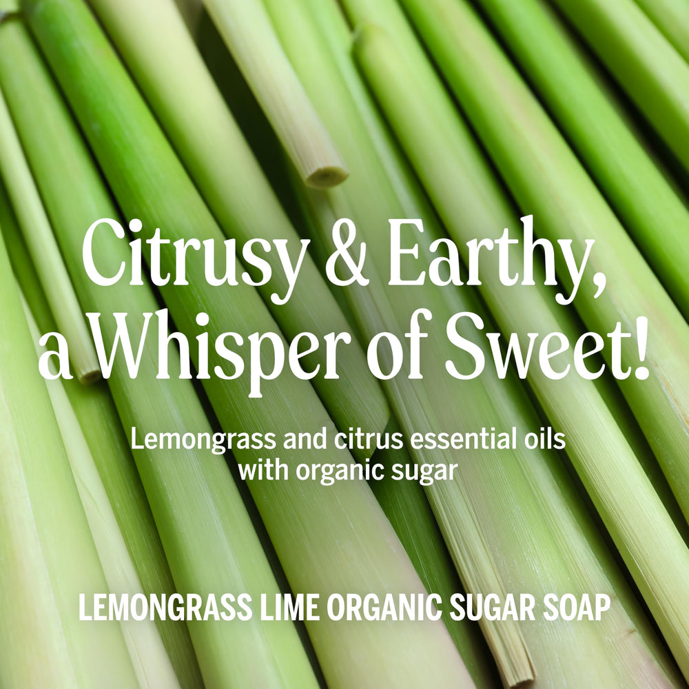 Dr. Bronner's Palm Kernel Oil label—sustainably sourced ingredients.