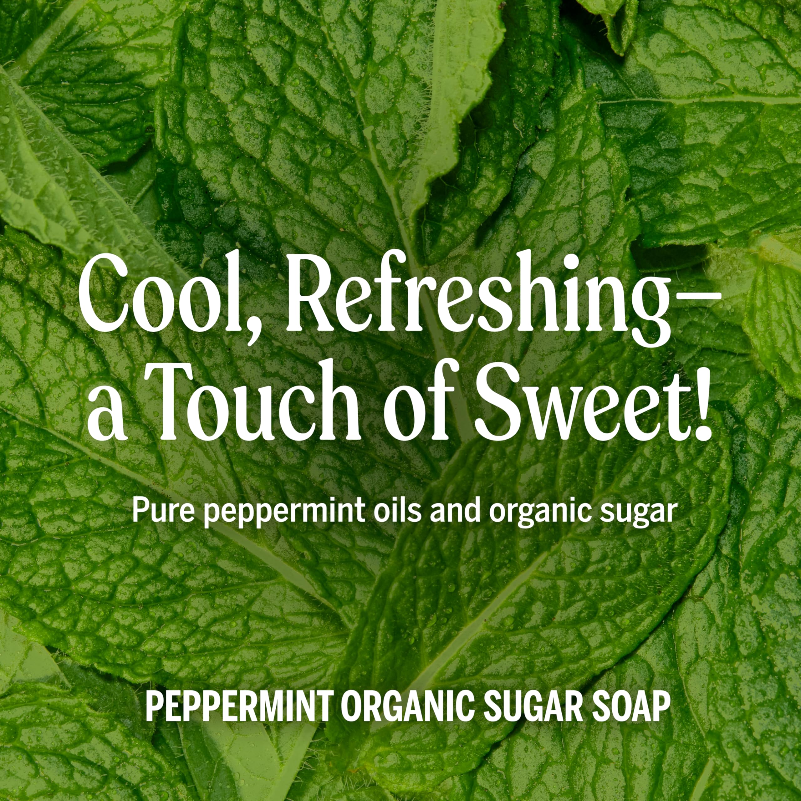 Dr. Bronner's Peppermint Sugar Soap face cleanse offering mild, refreshing wash for sensitive skin.