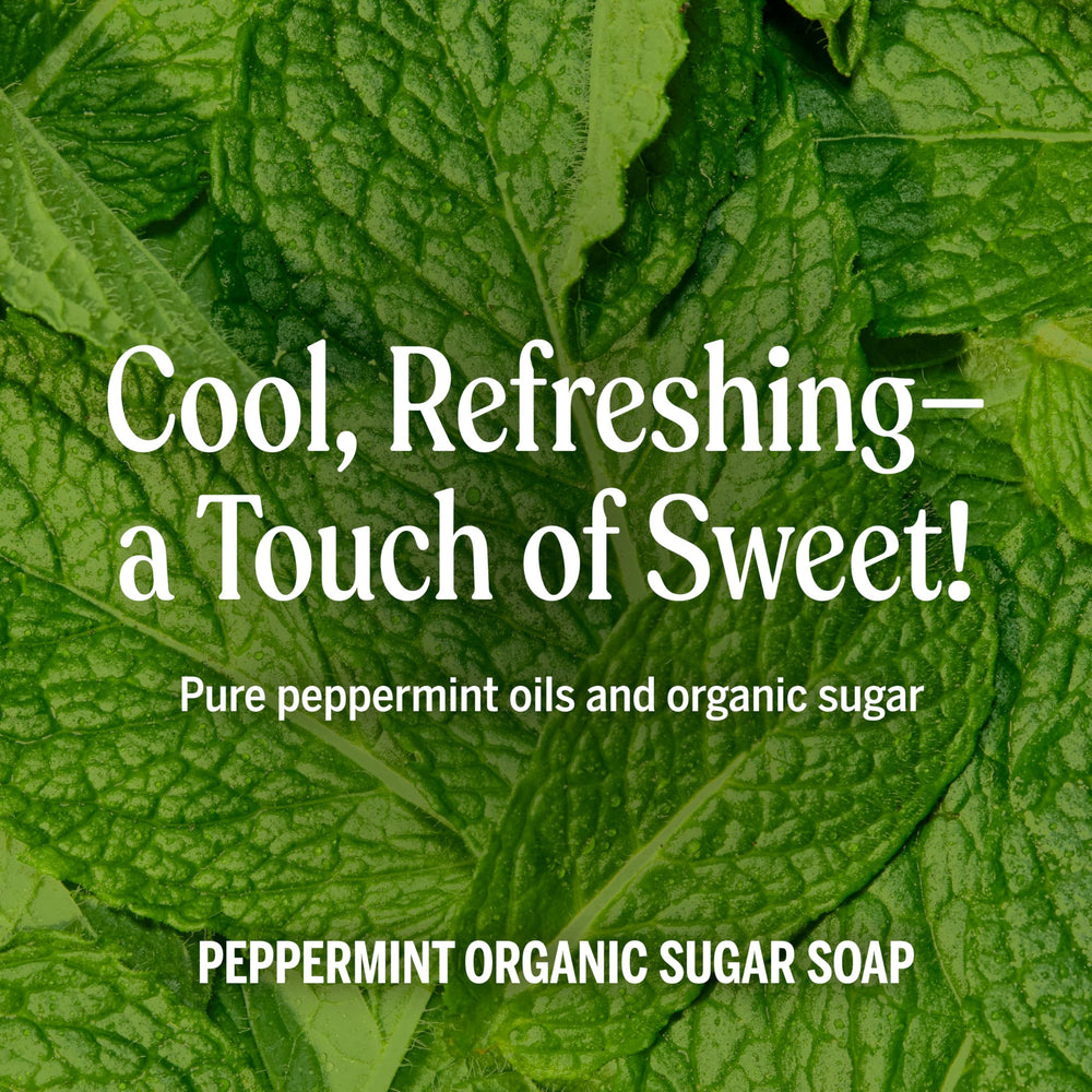 Dr. Bronner's Peppermint Sugar Soap face cleanse offering mild, refreshing wash for sensitive skin.