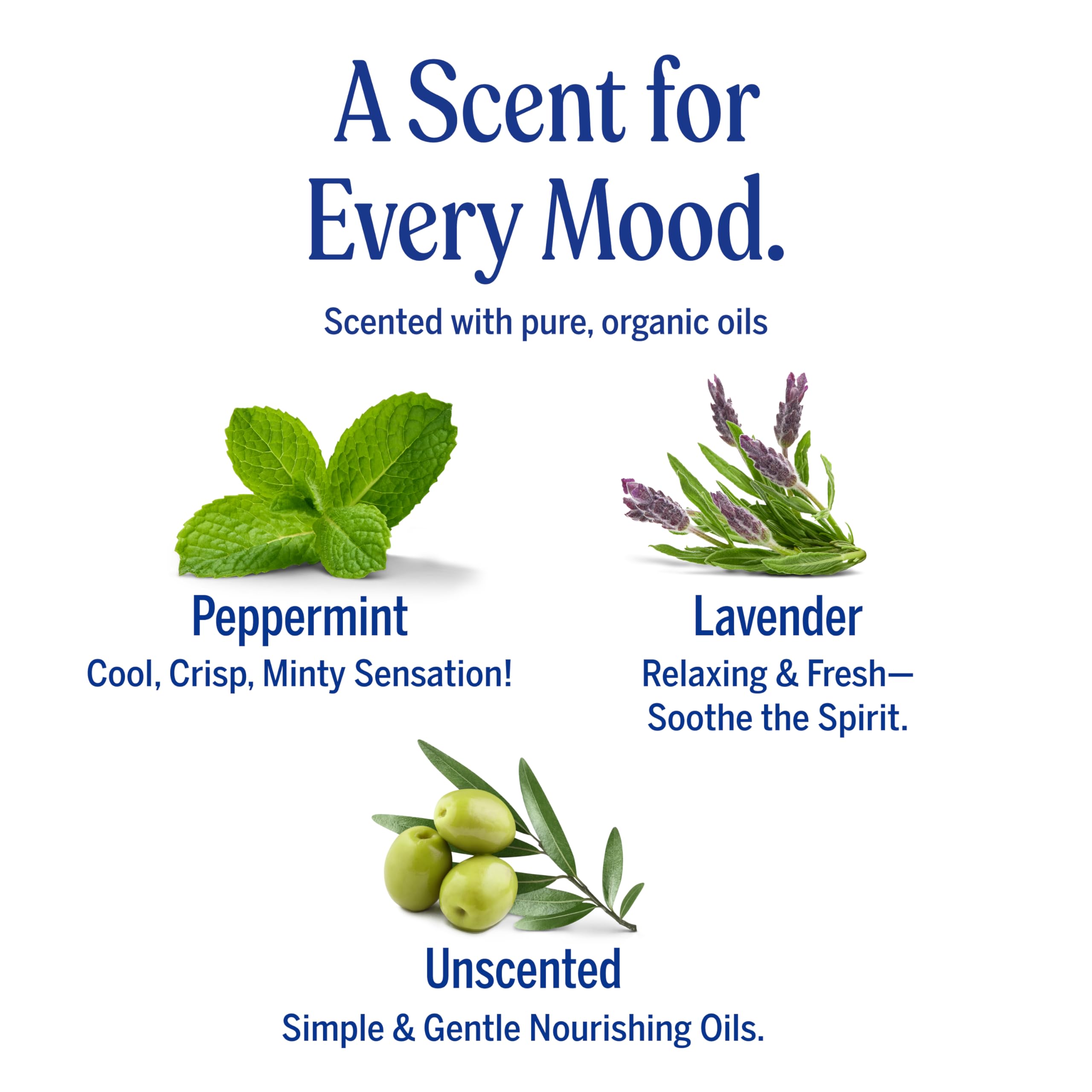 Dr. Bronner's Pure-Castile concentrate with dilution for versatile, cost-effective cleaning.