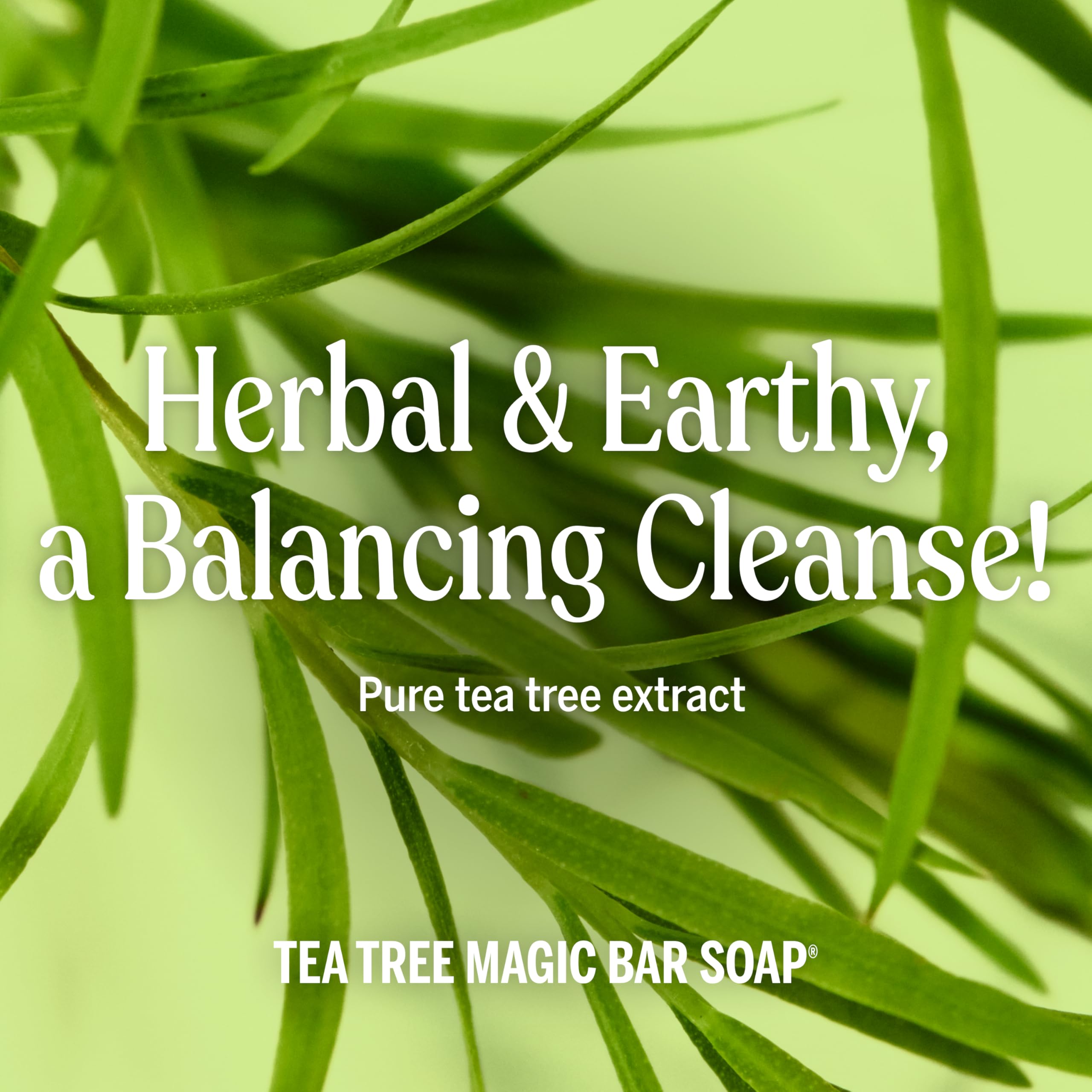 Dr. Bronner's Tea Tree Magic Bar recycled packaging