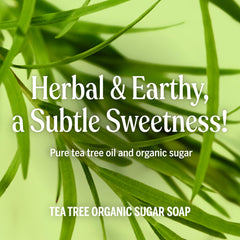 Dr. Bronner's Tea Tree Sugar Soap for face, mild cleansing with low pH