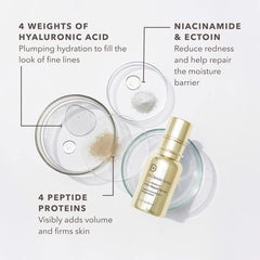 Dr Dennis Gross DermInfusions MicroCelle delivery concept for absorption