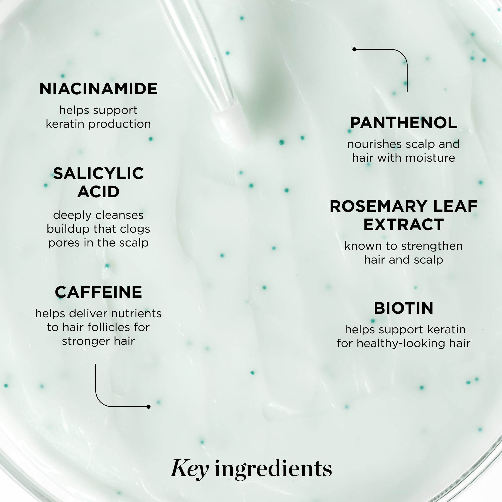 Dr. Groot rosemary leaf extract closeup indicating refreshing scalp care