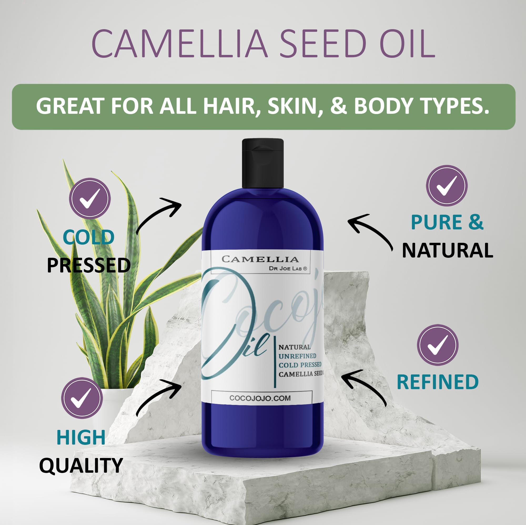 Dr Joe Lab Japanese Camellia Seed Oil on skin demonstrates fast-absorbing hydration without greasiness