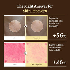 Dr.Reju-All 1200ppm concentration graphic demonstrates balanced skincare performance.