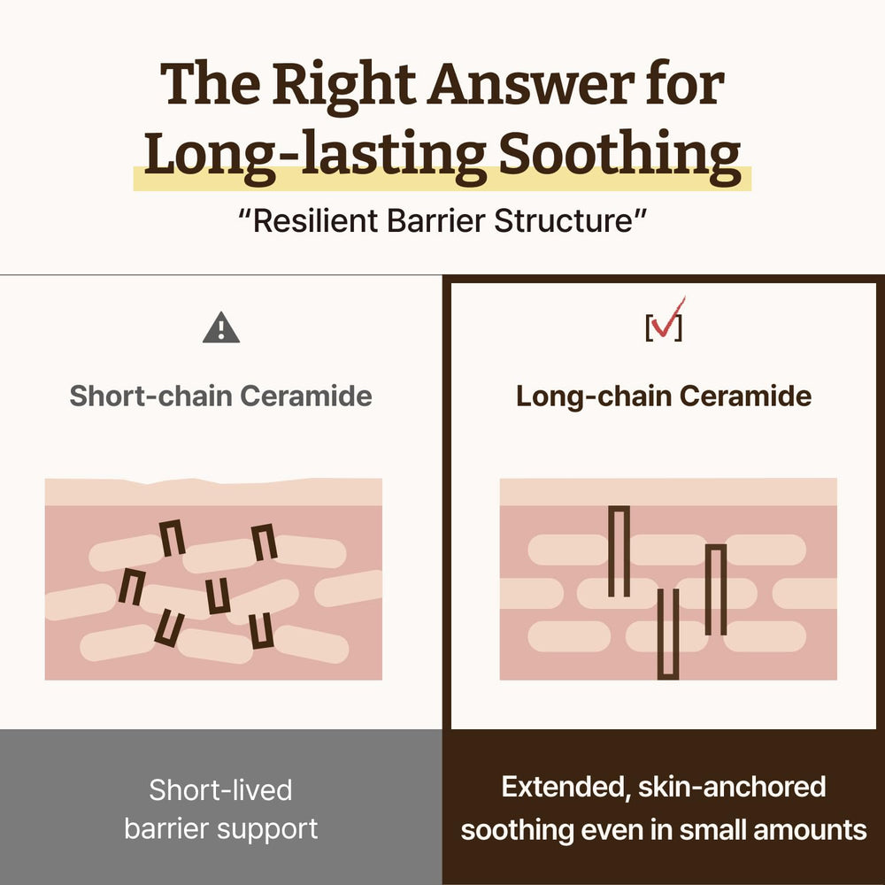 Dr.Reju-All Advanced LC-Ceramide all-season setup illustrates year-round hydration and barrier care.