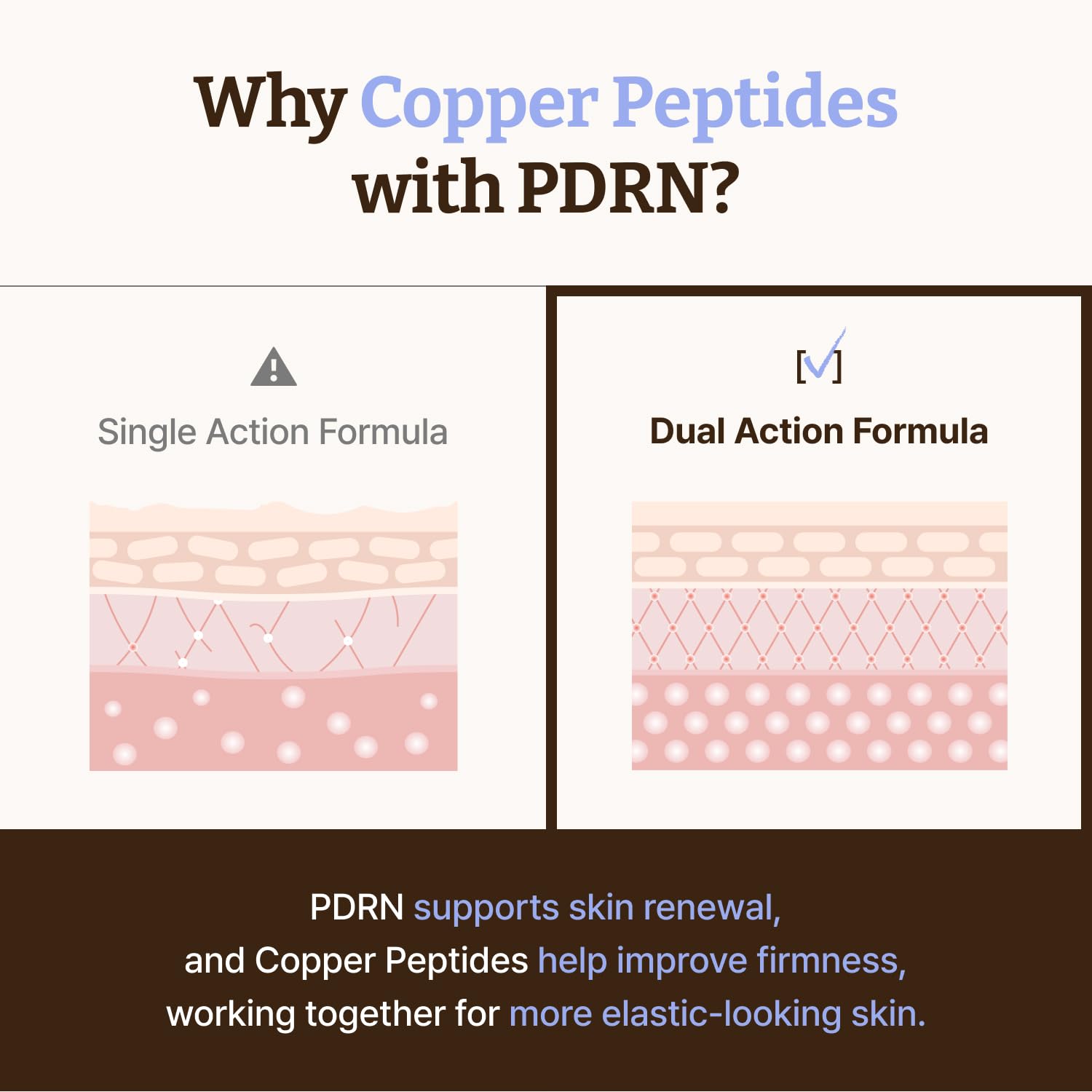 Dr.Reju-All ingredients label close-up showcasing PDRN and copper peptide benefits