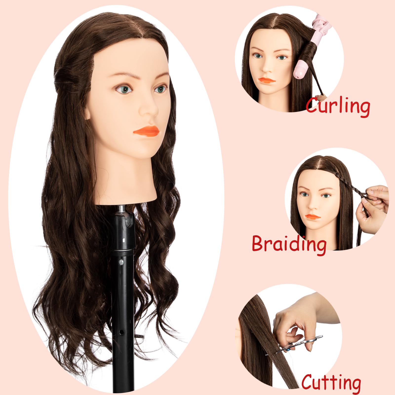 Dukorin mannequin head with free clamp holder for secure desk setup