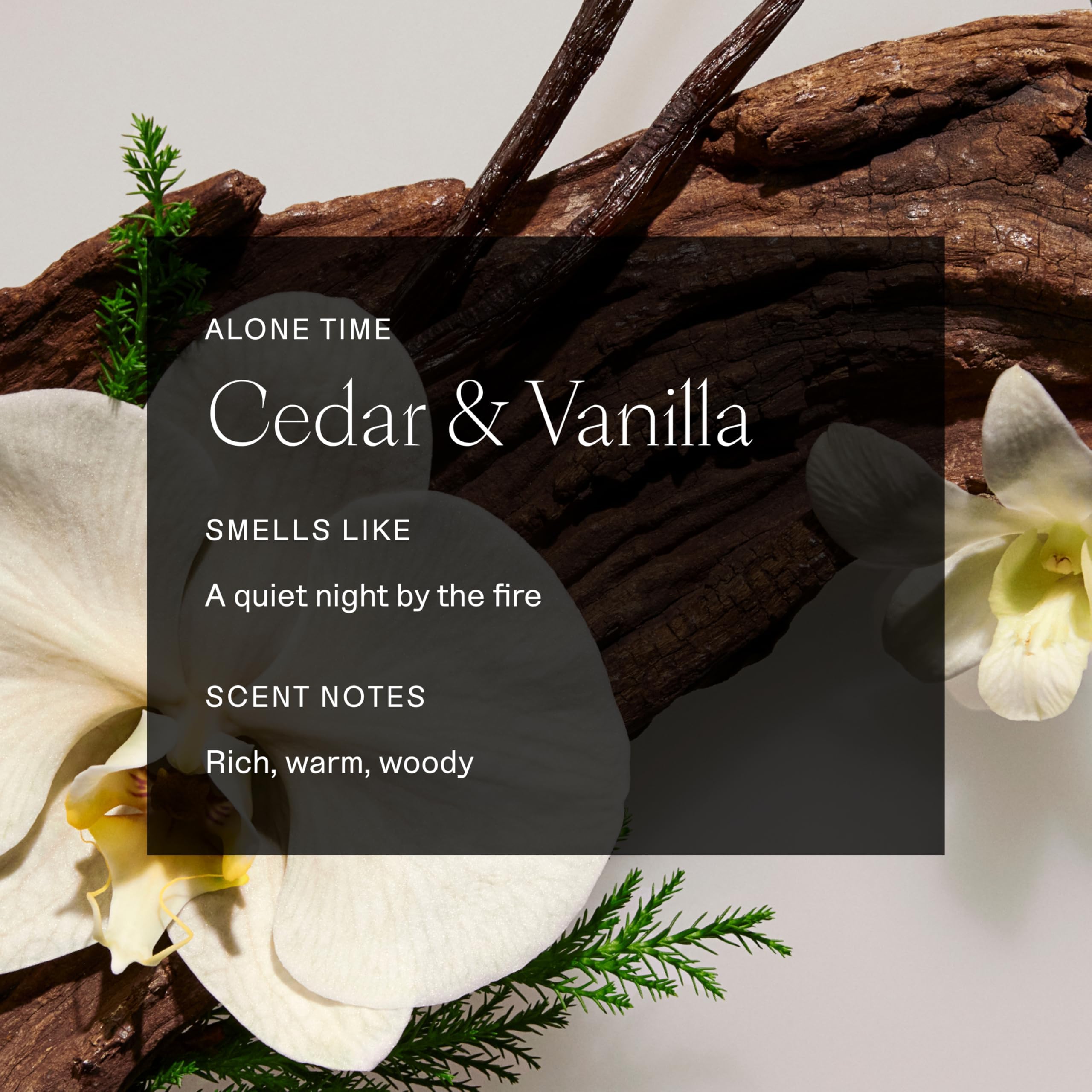 Ingredients list on the packaging emphasizes transparency and clean components.