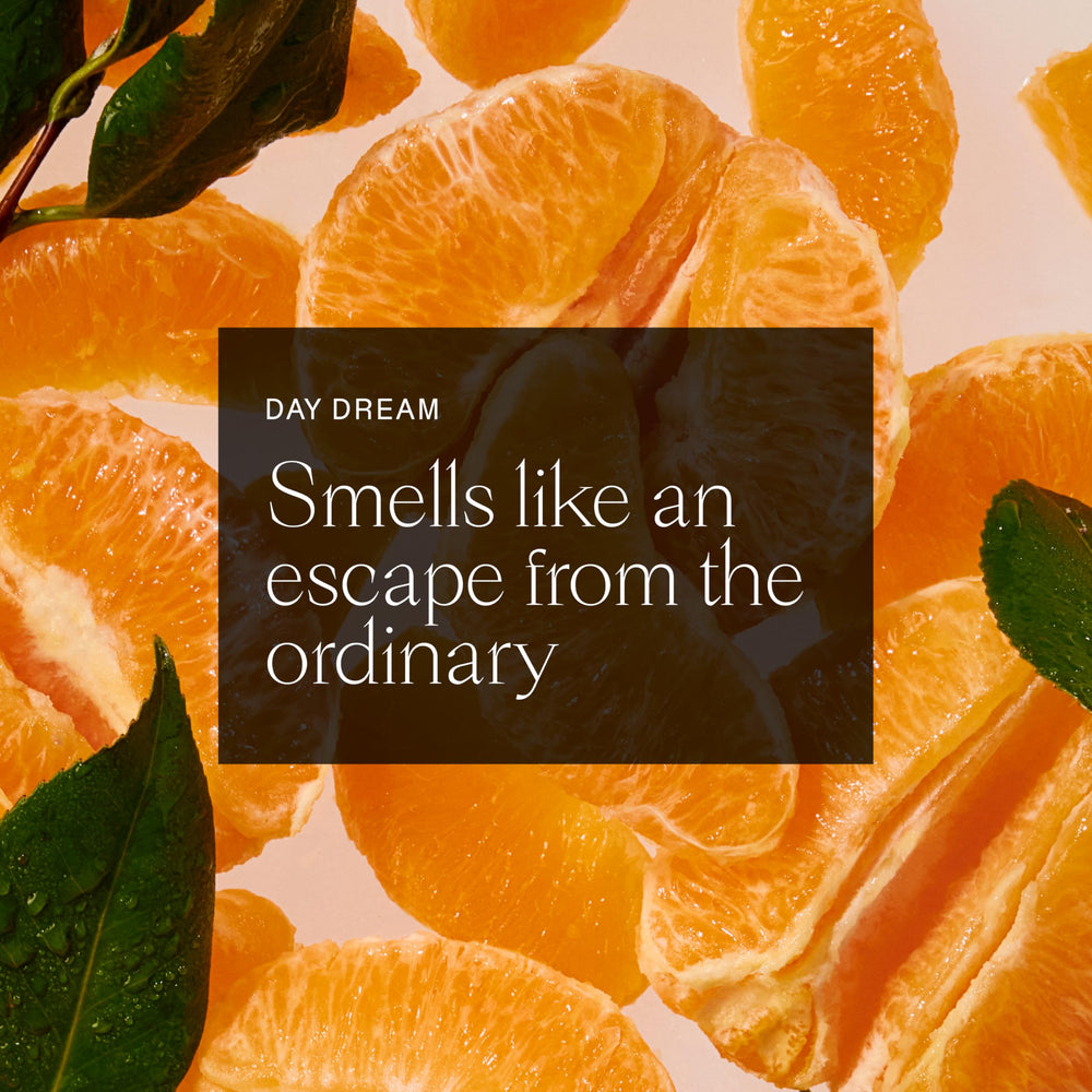 Each & Every plant-based fragrance ingredients detail highlights natural scent development.