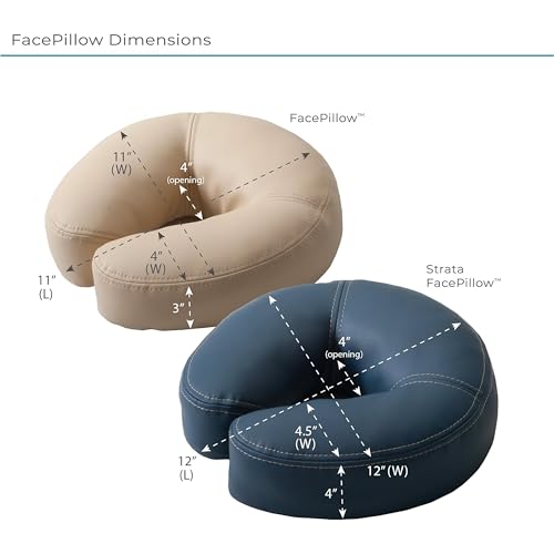 EarthLite professional-use therapy table highlights suitability for clinics and spas.