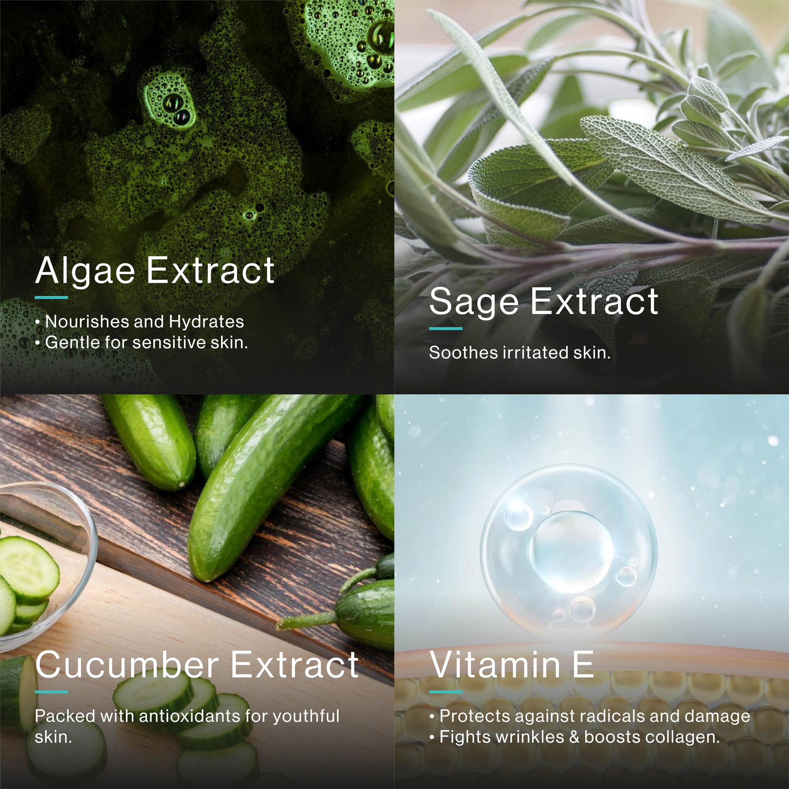 eb5 Aha Toner sage extract highlight supports skin vitality.