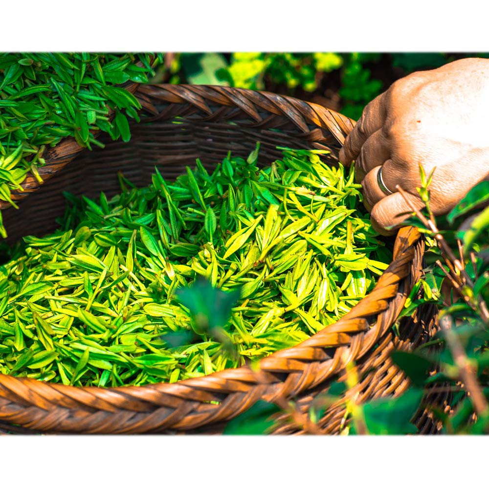 Eco amenities bar soap natural ingredients ensure gentle cleansing