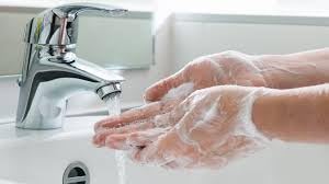ECOS Lavender Hand Soap creamy lather texture on skin