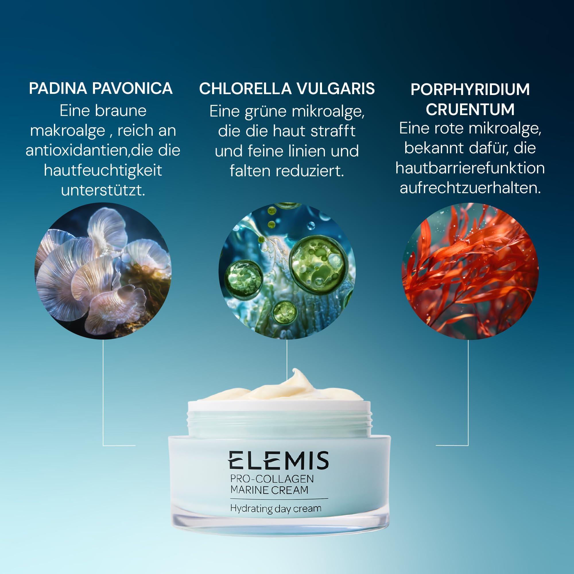 ELEMIS Pro-Collagen Marine Cream on neck and décolletage for comprehensive hydration