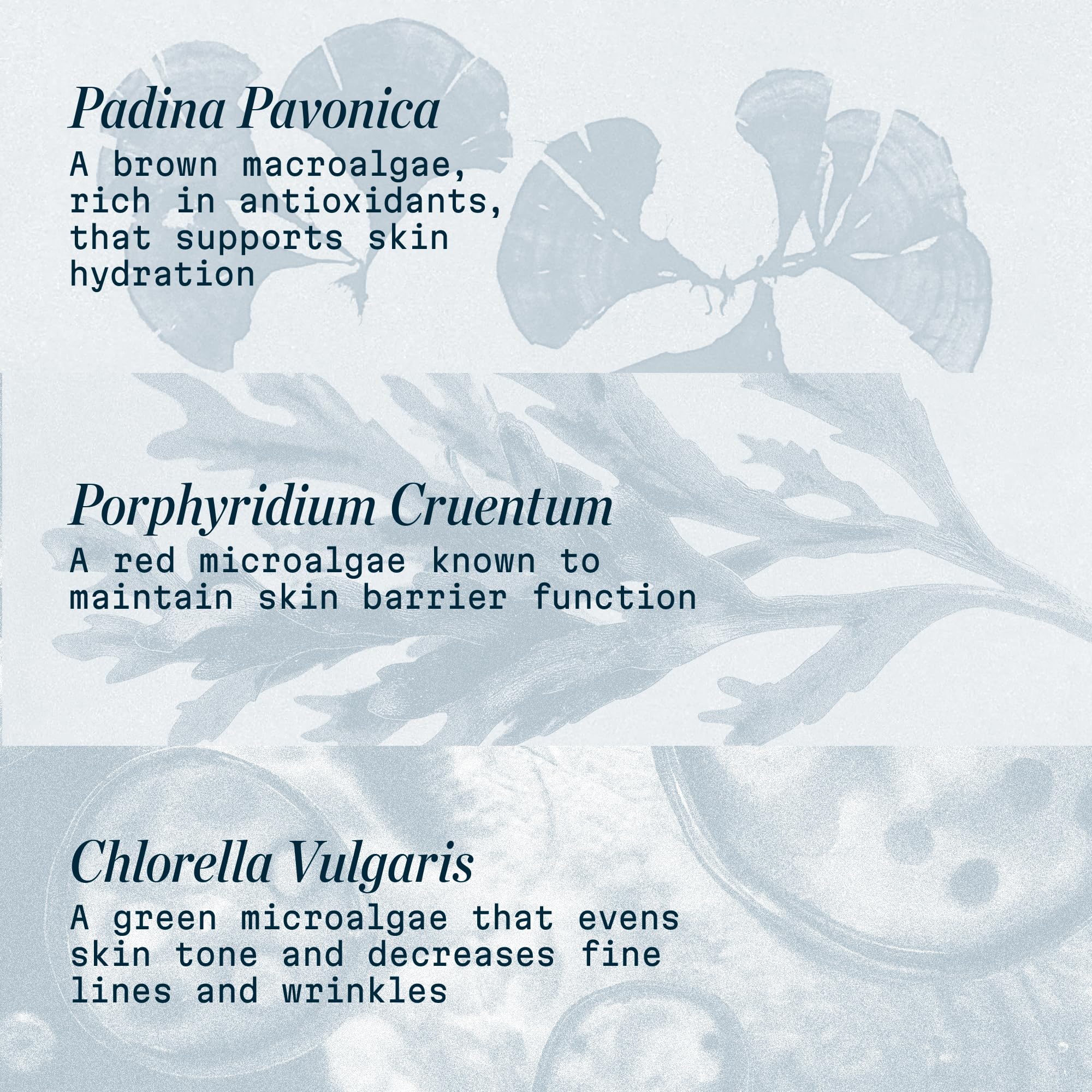 Elemis Pro-Collagen Marine Cream UK-origin badge highlights British formulation