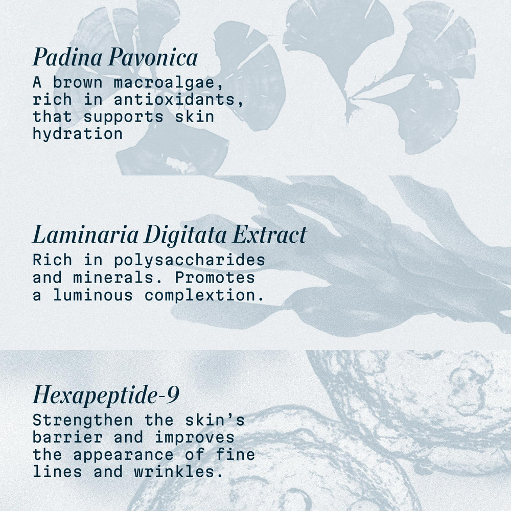 ELEMIS Pro-Collagen Night Cream with padina pavonica visual emphasizes marine actives