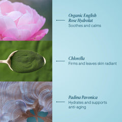 Elemis Rose Hydrolat Organic English Rose image—soothing hydration and aroma.